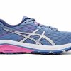 * Asics Women'S Gt-1000 8 (400 Grey Floss/Silver) | Footwear